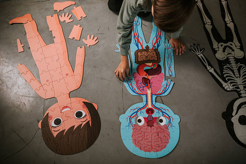 Janod Puzzle edukacyjne gigantyczne Ciało człowieka 50, 75 i 100 elementów 5 +