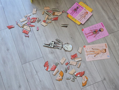 Układanka magnetyczna Ciało człowieka Janod