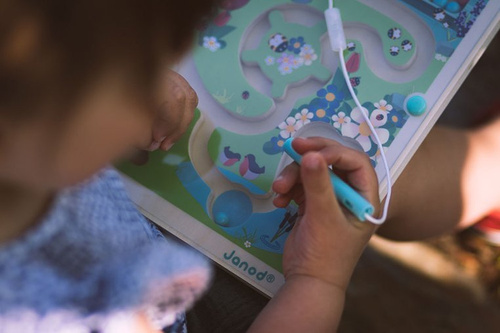 Janod Magnetyczny labirynt Łąka