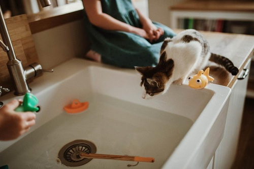 Janod Zestaw do wędkowania w kąpieli 2+