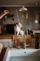 Janod Zestaw do wędkowania w kąpieli 2+