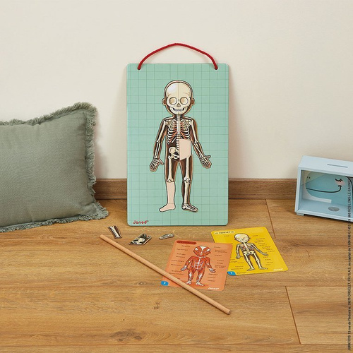 Janod Układanka magnetyczna Ciało człowieka