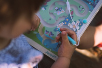 Janod Magnetyczny labirynt Łąka