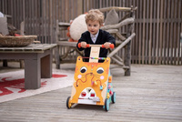 Janod Wielofunkcyjny pchacz edukacyjny Kot