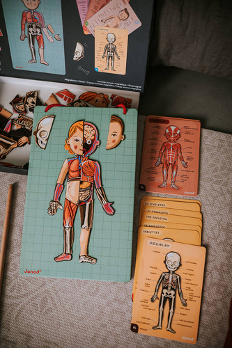 Janod Układanka magnetyczna Ciało człowieka