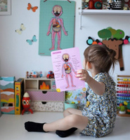 Janod Układanka magnetyczna Ciało człowieka 