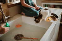 Janod Zestaw do wędkowania w kąpieli 2+