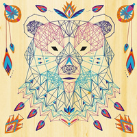 Janod Zestaw kreatywny Przeplatanka 3D String art Zwierzęta 10+