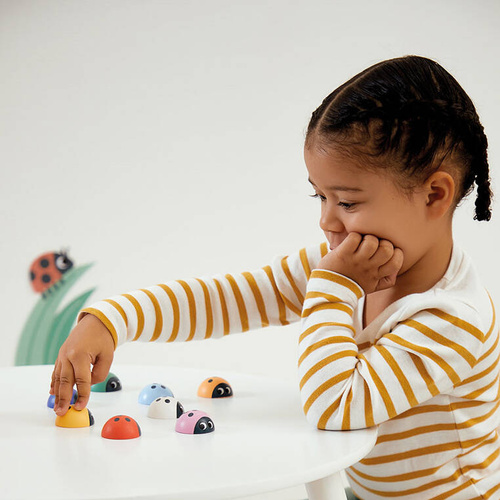 Janod Gra pamięciowa memory Biedronki 2+