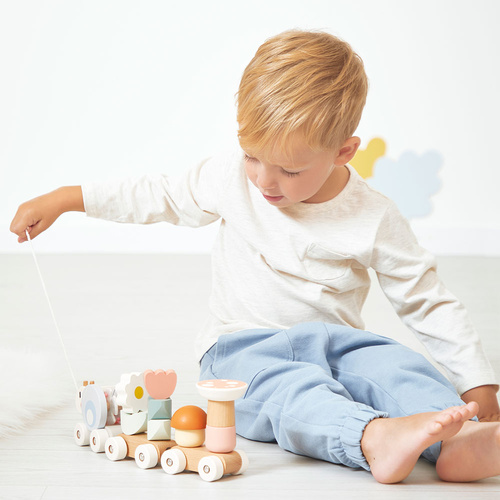 Pociąg drewniany ciuchcia Ślimak Sweet Cocoon z klockami