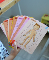 Janod Układanka magnetyczna Ciało człowieka 